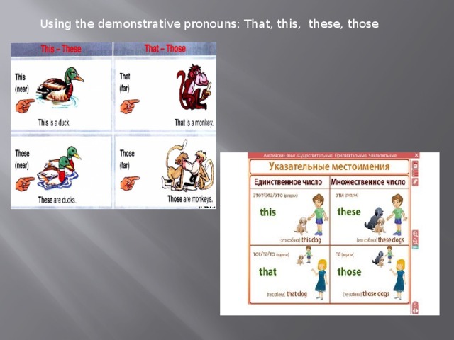 Using the demonstrative pronouns: That, this, these, those