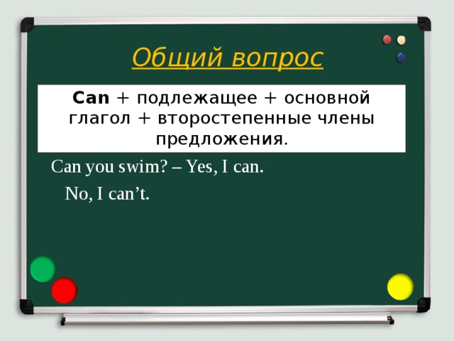 Общий вопрос    Can you swim? – Yes, I can.       No, I can’t. Can + подлежащее + основной глагол + второстепенные члены предложения .