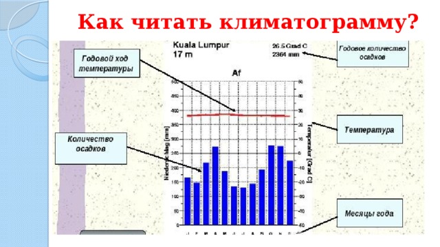 Как читать климатограмму?