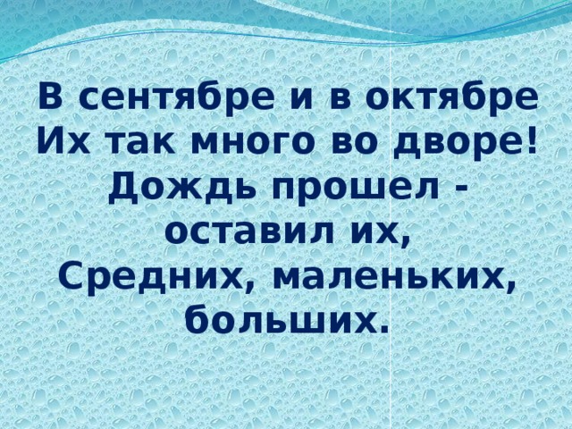 В сентябре и в октябре  Их так много во дворе!  Дождь прошел - оставил их,  Средних, маленьких, больших.