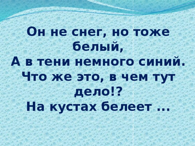 Он не снег, но тоже белый,  А в тени немного синий.  Что же это, в чем тут дело!?  На кустах белеет ...