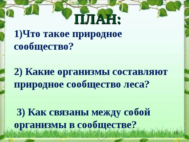 ПЛАН:   1)Что такое природное сообщество?   2) Какие организмы составляют природное сообщество леса?    3) Как связаны между собой организмы в сообществе?