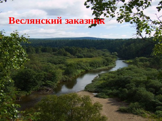 Веслянский заказник