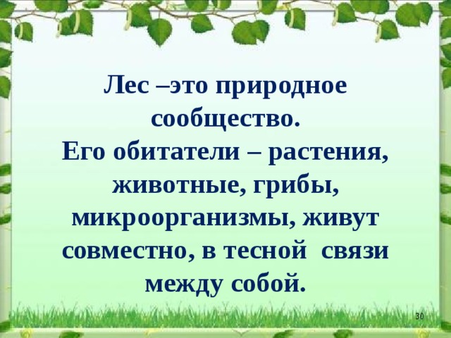 Изучение природного сообщества леса 4 класс по плану