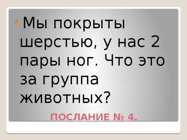   Мы покрыты шерстью, у нас 2 пары ног. Что это за группа животных?