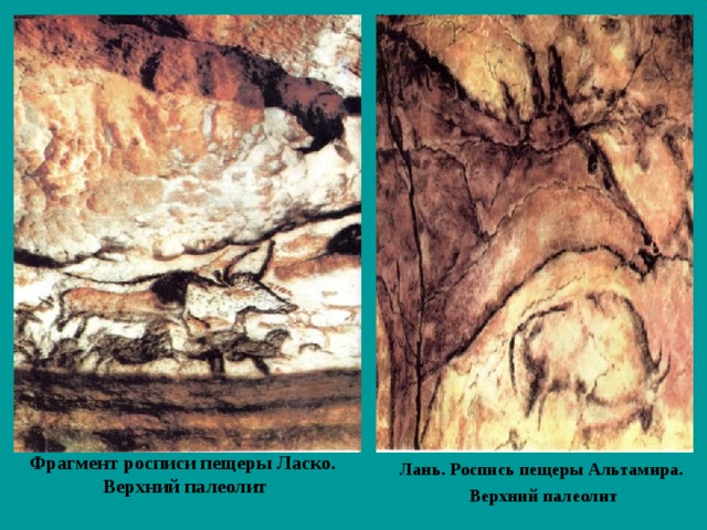 Фрагмент росписи пещеры Ласко.  Верхний палеолит   Лань. Роспись пещеры Альтамира.  Верхний палеолит