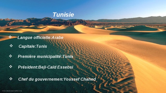 Tunisie Langue officielle:Arabe Capitale:Tunis Première municipalité:Tunis Président:Beji-Caïd Essebsi Chef du gouvernemen:Youssef Chahed