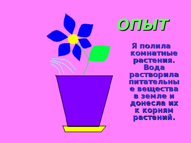 ОПЫТ  Я полила комнатные растения. Вода растворила питательные вещества в земле и донесла их к корням растений.