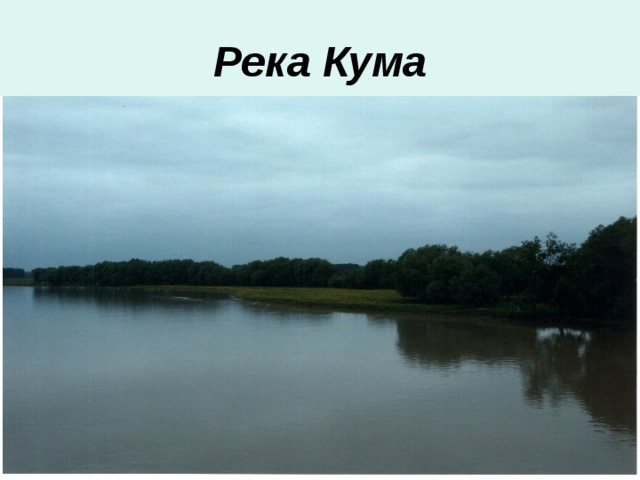 Река кум. Исток реки кума Ставропольский край. Кума (река, впадает в Каспийское море). Информация о реке куме. Река кума Устье.