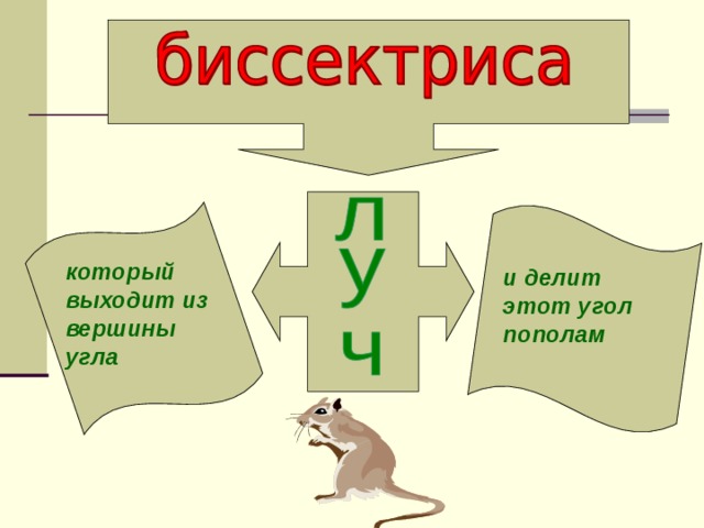 который выходит из вершины угла и делит этот угол пополам