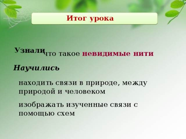 Итог урока Узнали что такое невидимые нити Научились находить связи в природе, между природой и человеком изображать изученные связи с помощью схем