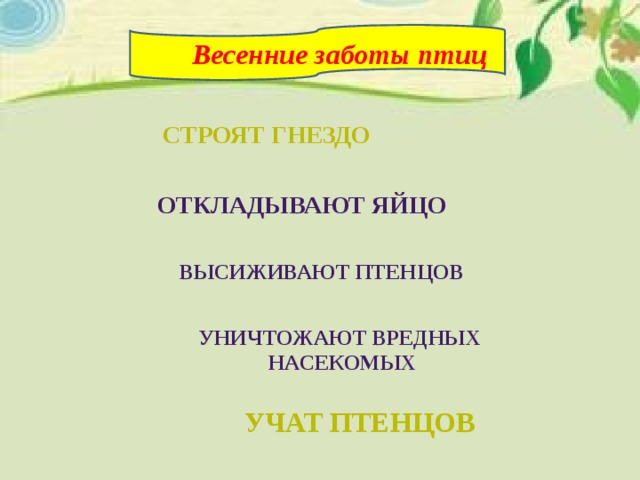 Весенние заботы птиц  Строят гнездо     Откладывают яйцо  Высиживают птенцов Уничтожают вредных насекомых  Учат птенцов