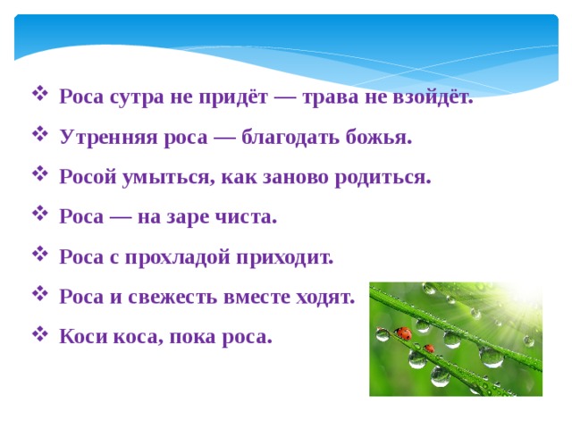 Какая роса бывает на траве 3 класс. Как Божья роса поговорка. Утром лес росой умывается. Пословица про Божью росу. Пословицы про утреннюю росу.