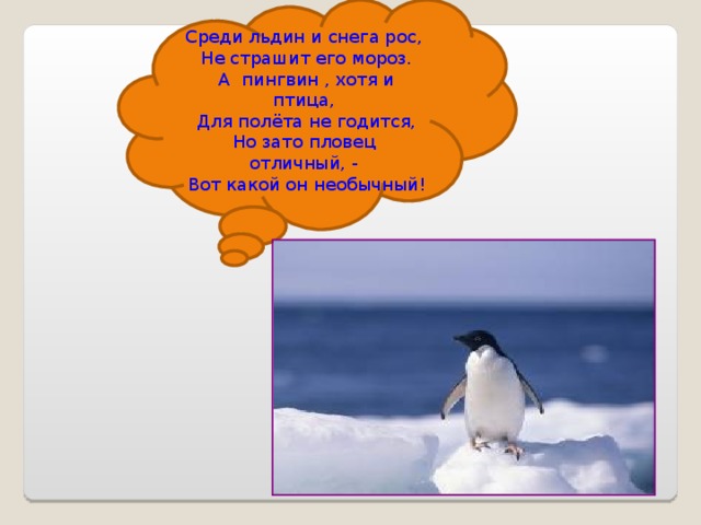 Среди льдин и снега рос,  Не страшит его мороз.  А пингвин , хотя и птица,  Для полёта не годится,  Но зато пловец отличный, -  Вот какой он необычный!