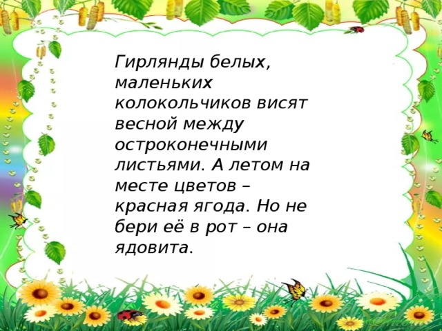 Гирлянды белых, маленьких колокольчиков висят весной между остроконечными листьями. А летом на месте цветов – красная ягода. Но не бери её в рот – она ядовита.