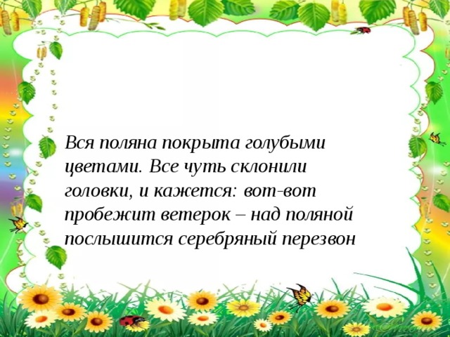 Вся поляна покрыта голубыми цветами. Все чуть склонили головки, и кажется: вот-вот пробежит ветерок – над поляной послышится серебряный перезвон