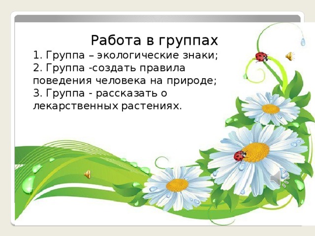 Работа в группах 1. Группа – экологические знаки; 2. Группа -создать правила поведения человека на природе; 3. Группа - рассказать о лекарственных растениях.