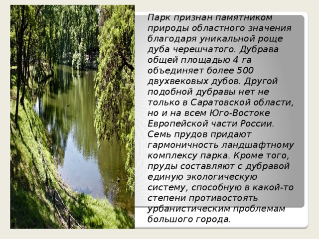 Парк признан памятником природы областного значения благодаря уникальной роще дуба черешчатого. Дубрава общей площадью 4 га объединяет более 500 двухвековых дубов. Другой подобной дубравы нет не только в Саратовской области, но и на всем Юго-Востоке Европейской части России. Семь прудов придают гармоничность ландшафтному комплексу парка. Кроме того, пруды составляют с дубравой единую экологическую систему, способную в какой-то степени противостоять урбанистическим проблемам большого города.