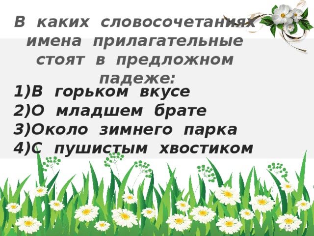 В каких словосочетаниях имена прилагательные стоят в предложном падеже: 1)В горьком вкусе 2)О младшем брате 3)Около зимнего парка 4)С пушистым хвостиком