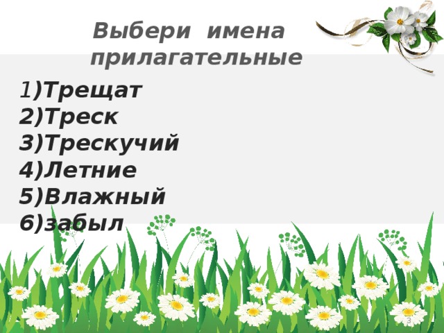 Выбери имена прилагательные 1 )Трещат 2)Треск 3)Трескучий 4)Летние 5)Влажный 6)забыл