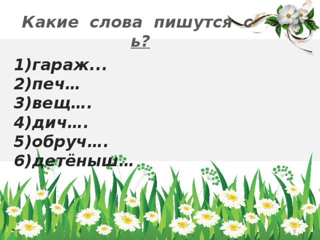 Какие слова пишутся с ь? 1)гараж... 2)печ…  3)вещ…. 4)дич…. 5)обруч…. 6)детёныш…