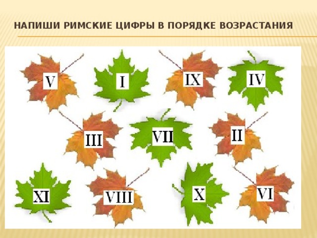 Напиши римские цифры в порядке возрастания