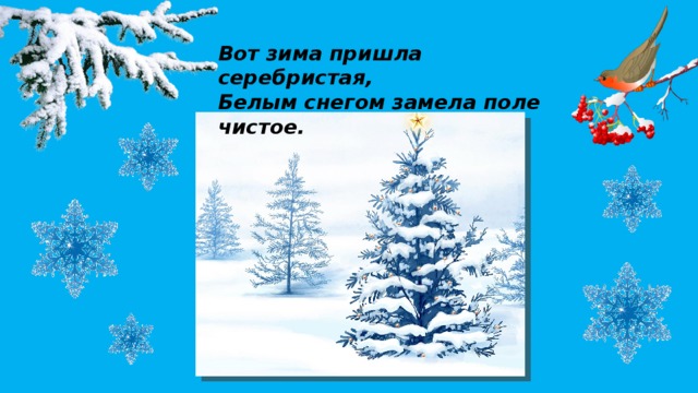 Вот зима пришла серебристая,  Белым снегом замела поле чистое.