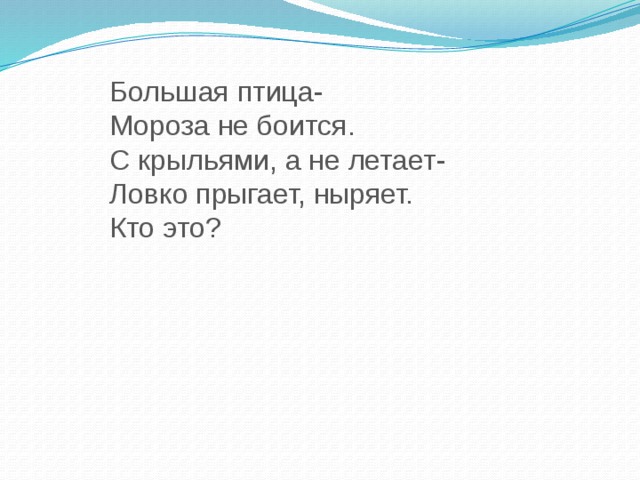 Большая птица- Мороза не боится. С крыльями, а не летает- Ловко прыгает, ныряет. Кто это?