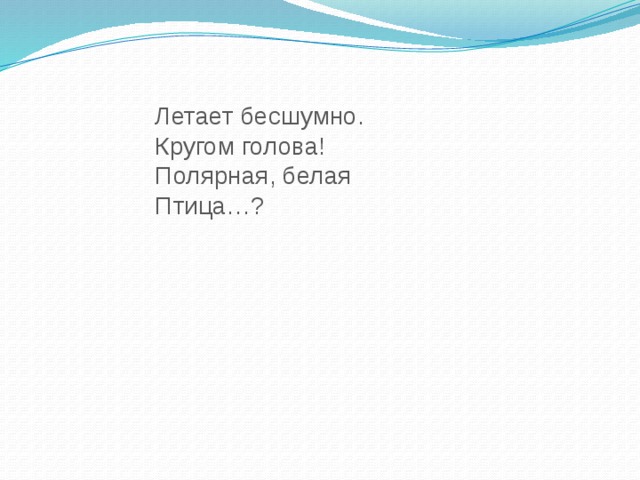 Летает бесшумно. Кругом голова! Полярная, белая Птица…?