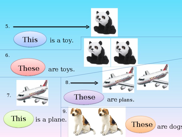 5 . This  is a toy . 6. These are toys. 8. 7. These are plans. 9. This is a plane. These are dogs.