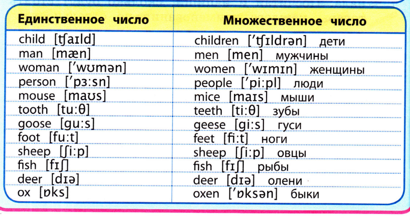 Чертеж множественное число