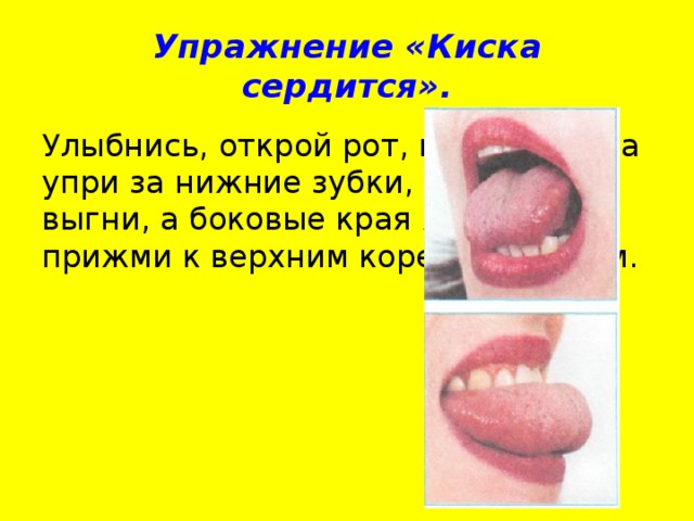 Упражнение «Киска сердится». Улыбнись, открой рот, кончик языка упри за нижние зубки, «спинку» выгни, а боковые края языка прижми к верхним коренным зубам.