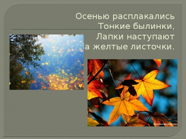 Осенью расплакались  Тонкие былинки,  Лапки наступают  На желтые листочки.