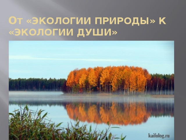 о т «экологии природы» к «экологии души»