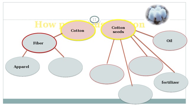 How people use cotton  Cotton  seeds Cotton  Oil  Fiber  Apparel  fertilizer