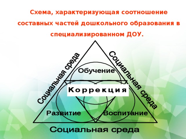 Схема, характеризующая соотношение составных частей дошкольного образования в специализированном ДОУ.