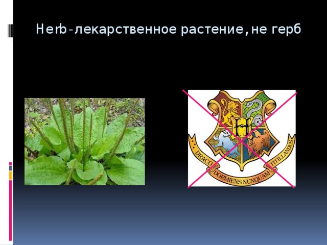 Herb- лекарственное растение, не герб