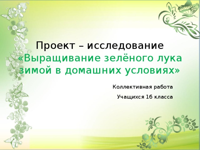 Проект – исследование «Выращивание зелёного лука зимой в домашних условиях»  Коллективная работа Учащихся 1б класса