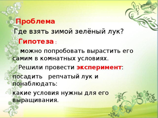 Проблема  Где взять зимой зелёный лук?   Гипотеза :  М ожно попробовать вырастить его самим в комнатных условиях.  Решили провести эксперимент : посадить репчатый лук и понаблюдать: какие условия нужны для его выращивания.