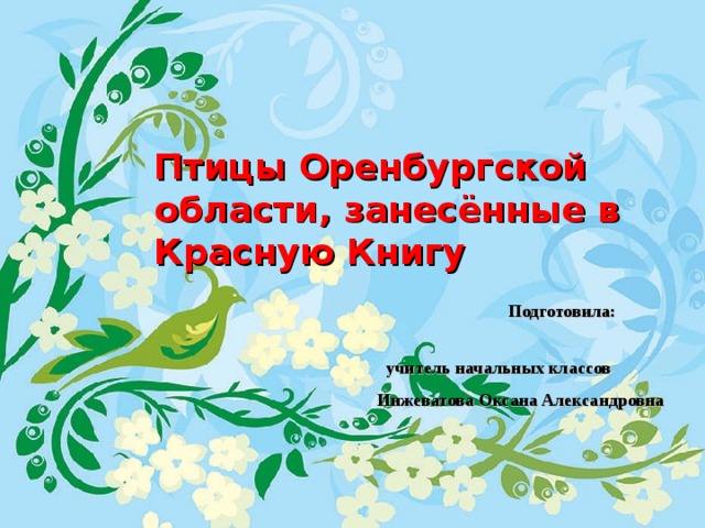 Птицы Оренбургской области, занесённые в Красную Книгу  Подготовила:  учитель начальных классов  Инжеватова Оксана Александровна