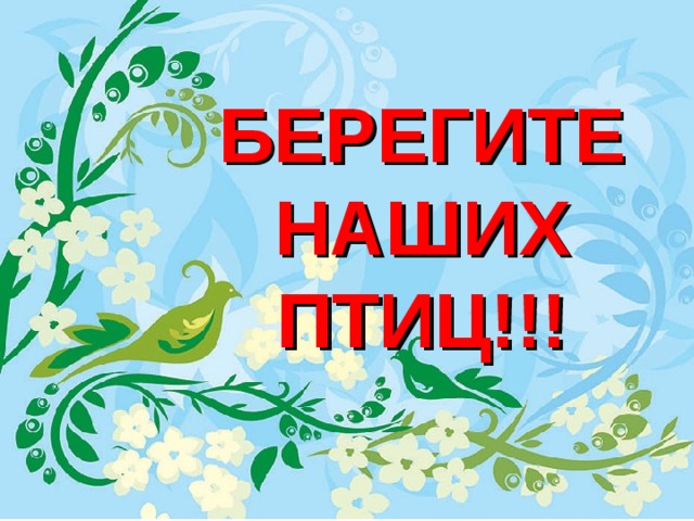 БЕРЕГИТЕ НАШИХ ПТИЦ!!!