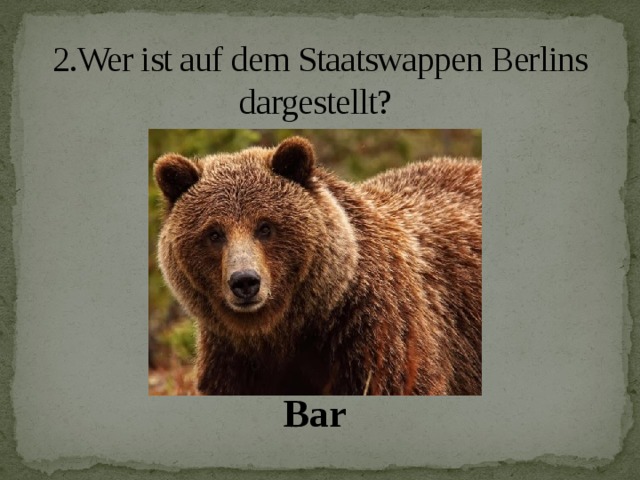 2.Wer ist auf dem Staatswappen Berlins dargestellt? Bar