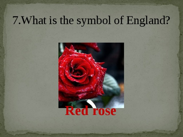 7.What is the symbol of England? Red rose