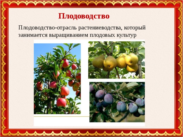 Плодоводство Плодоводство-отрасль растениеводства, который занимается выращиванием плодовых культур