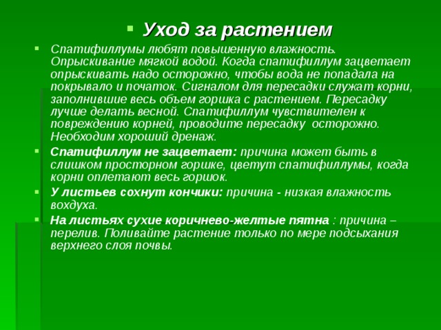 Уход за растением Спатифиллумы любят повышенную влажность. Опрыскивание мягкой водой. Когда спатифиллум зацветает опрыскивать надо осторожно, чтобы вода не попадала на покрывало и початок. Сигналом для пересадки служат корни, заполнившие весь объем горшка с растением. Пересадку лучше делать весной. Спатифиллум чувствителен к повреждению корней, проводите пересадку осторожно. Необходим хороший дренаж. Спатифиллум не зацветает: причина может быть в слишком просторном горшке, цветут спатифиллумы, когда корни оплетают весь горшок. У листьев сохнут кончики: причина - низкая влажность вохдуха. На листьях сухие коричнево-желтые пятна : причина –перелив. Поливайте растение только по мере подсыхания верхнего слоя почвы.