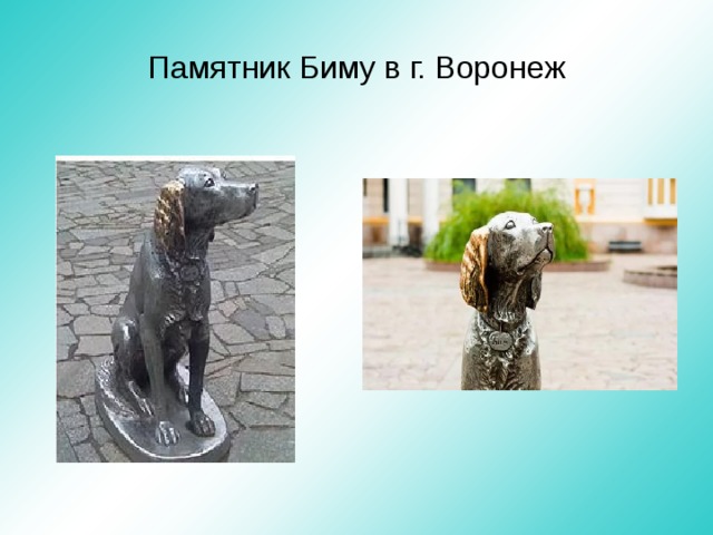Памятник Биму в г. Воронеж