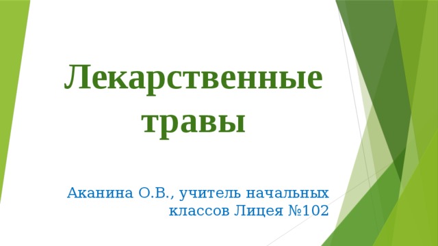 Лекарственные травы Аканина О.В., учитель начальных классов Лицея №102