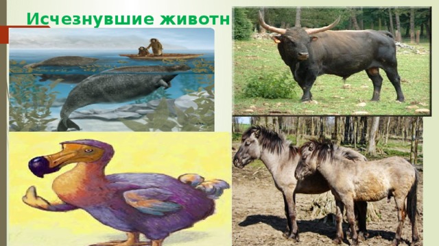 Исчезнувшие животные