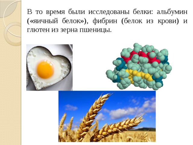 В то время были исследованы белки: альбумин («яичный белок»), фибрин (белок из крови) и глютен из зерна пшеницы.