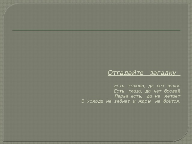 Отгадайте загадку   Есть голова, да нет волос  Есть глаза, да нет бровей  Перья есть, да не летает  В холода не зябнет и жары не боится.